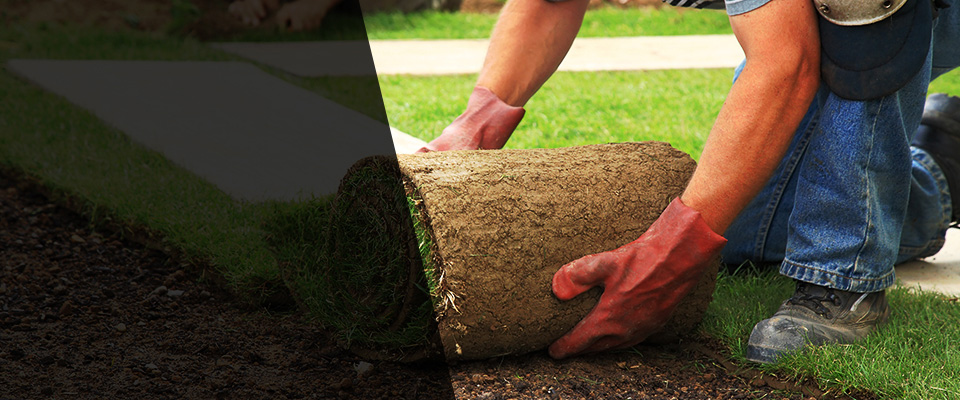 Hortonville Landscapers